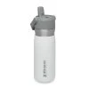 Stanley The IceFlow Flip Straw Water Bottle 650 Ml Polar